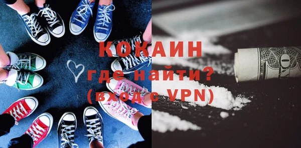 прущие грибы Вязники