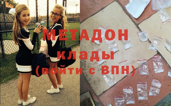 прущие грибы Вязники