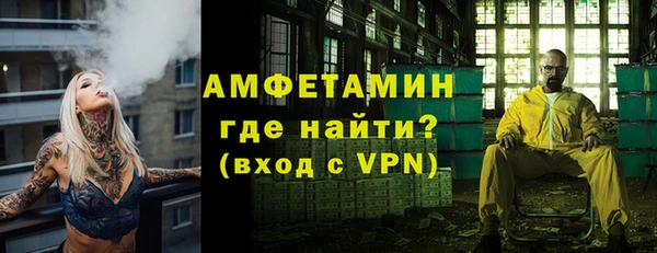 прущие грибы Вязники