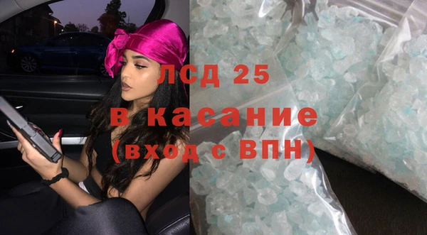 прущие грибы Вязники