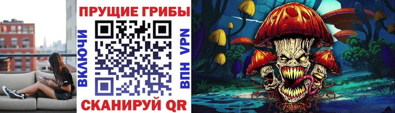 ОМГ ОМГ зеркало купить Снежинск Галлюциногенные грибы Cubensis