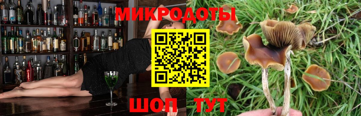 Снежинск  Псилоцибиновые грибы ЛСД  Вход с VPN  Галлюциногенные грибы GOLDEN TEACHER 